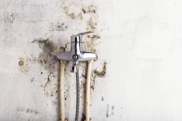 Mold Removal Process in Stevens Point, WI