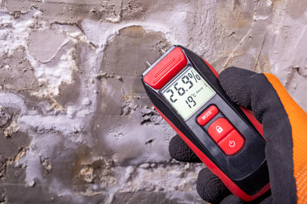 Best Professional Mold Removal  in Stevens Point, WI